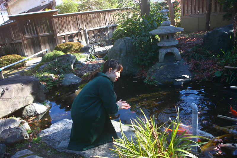 壽丸屋敷の池