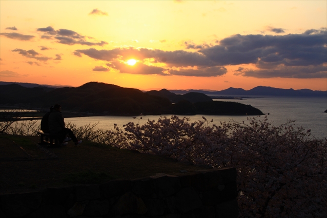 米子城跡から見る桜と夕日