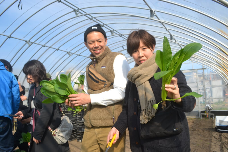 カッターで小松菜を収穫体験する参加者