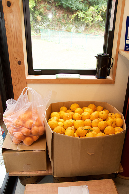 段ボールいっぱいの柚
